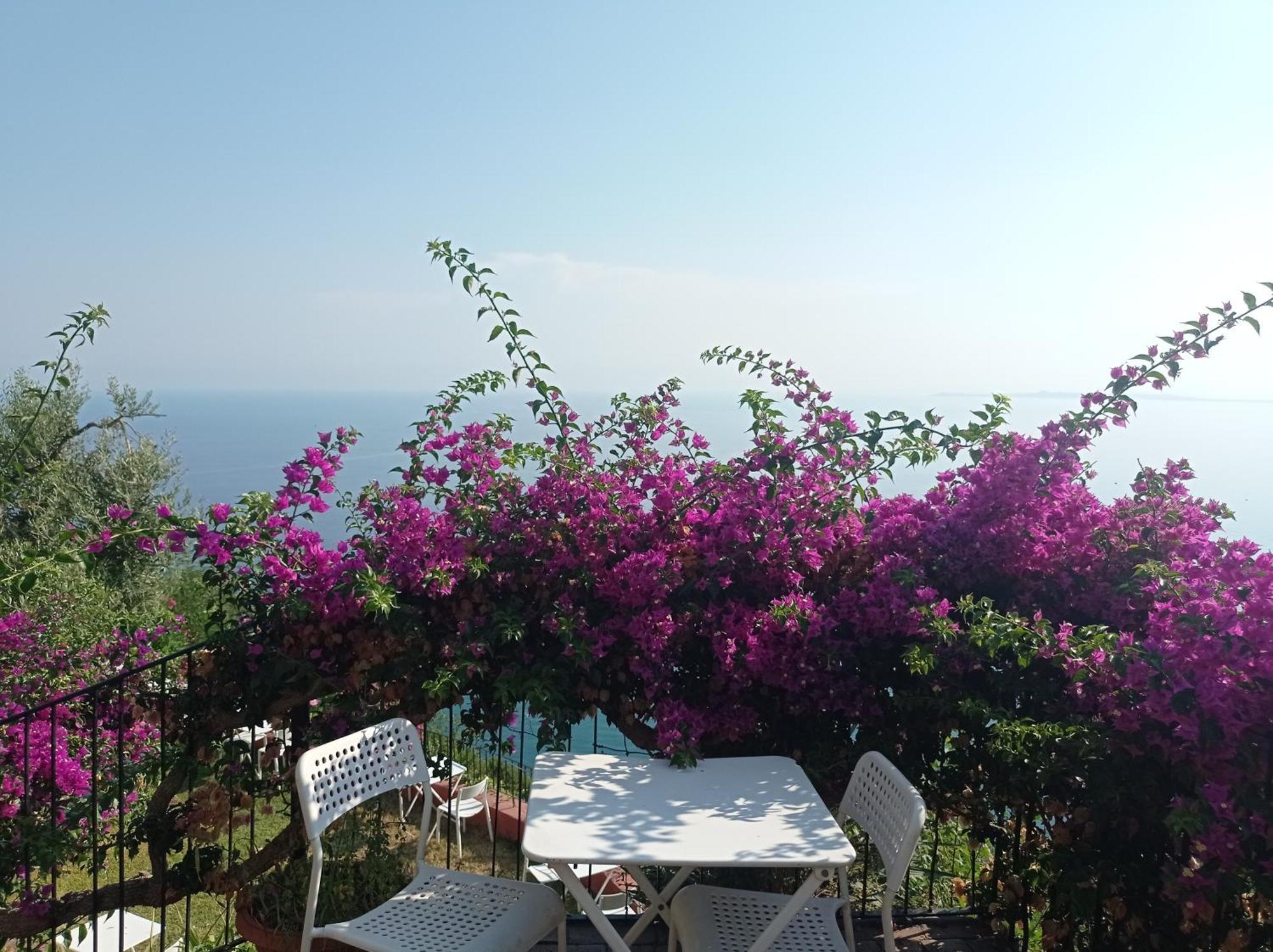 Mansarda Con Terrazzo Vista Mare Villa Oliveri Eksteriør bilde